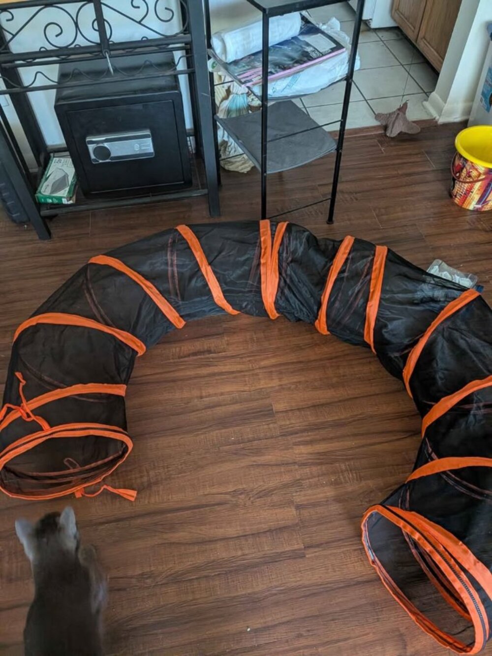 Catio - Picture 6 of 8